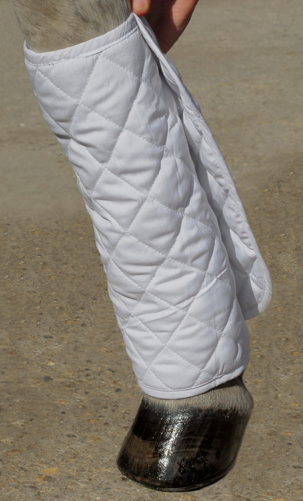 Rhinegold Quilted Leg Wraps