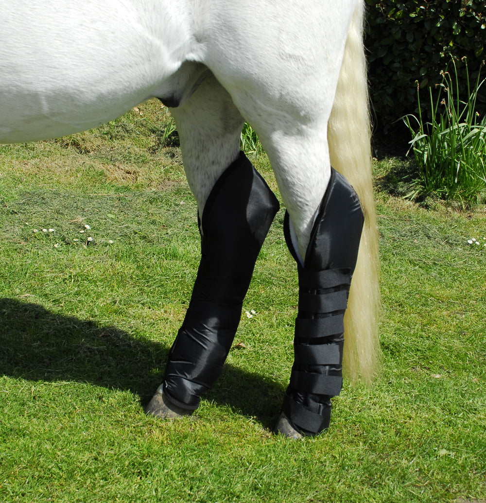 Rhinegold Full Length Travel Boots - Set Of 4