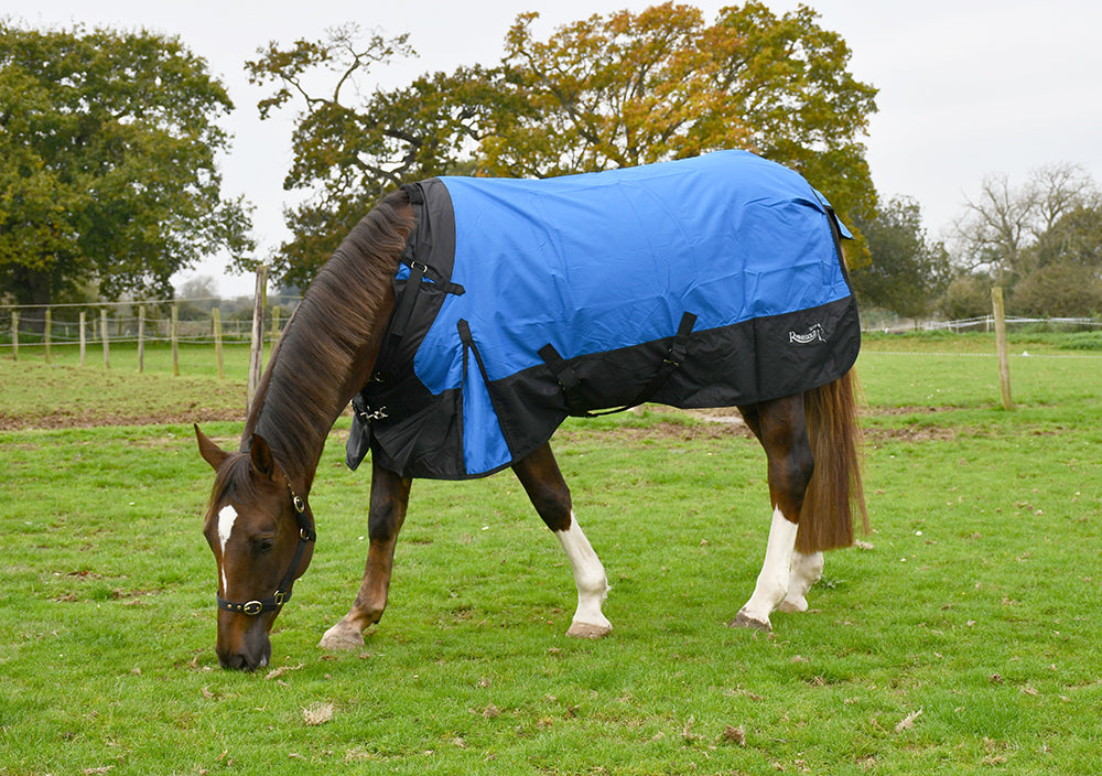 50gsm Rhinegold Phoenix Outdoor Rug
