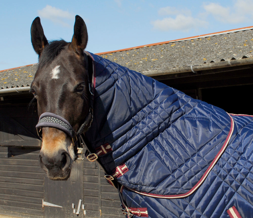 Rhinegold Dallas Stable Neck Cover