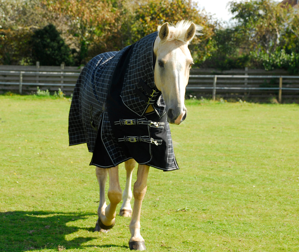 100gsm Rhinegold Elite Montpelier Full Neck Combo Outdoor Rug