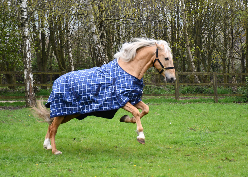 No Fill Rhinegold ‘Atlanta’ Lightweight Fleece Lined Outdoor Rug