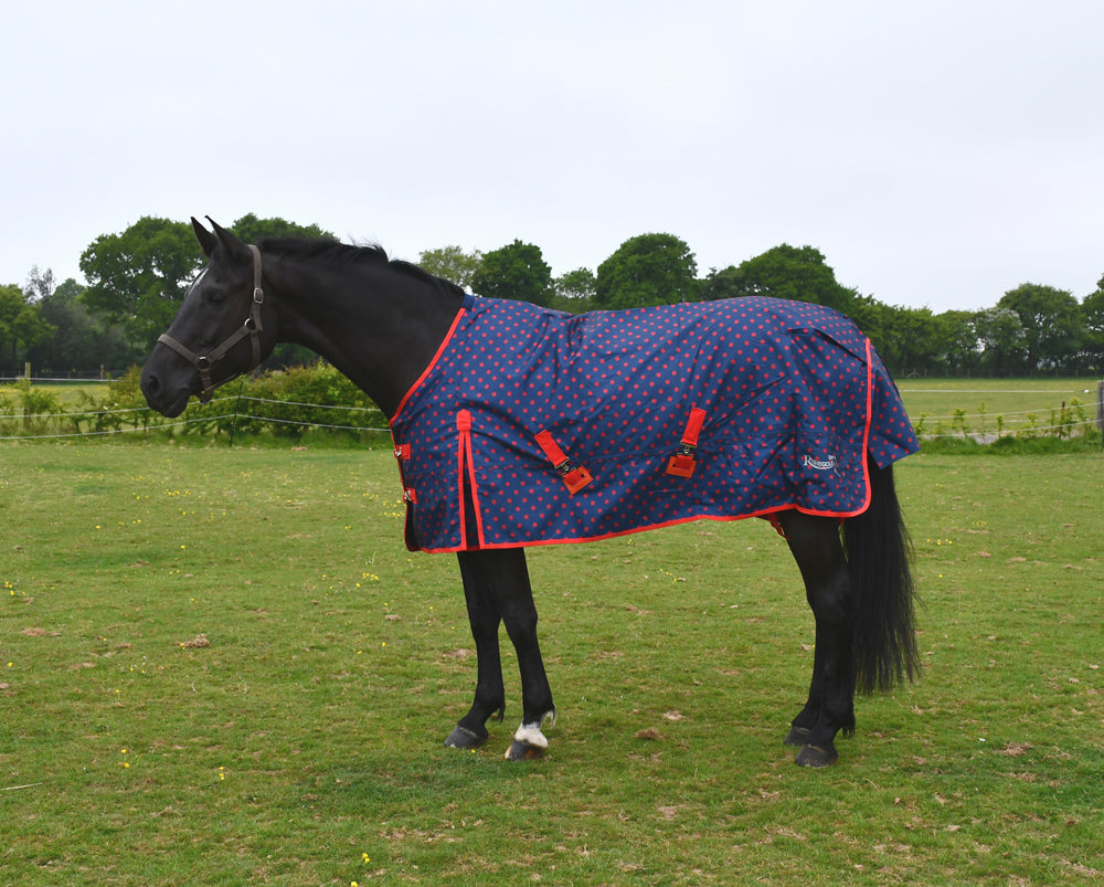 No Fill Rhinegold ‘Spot Torrent’ Outdoor Rug