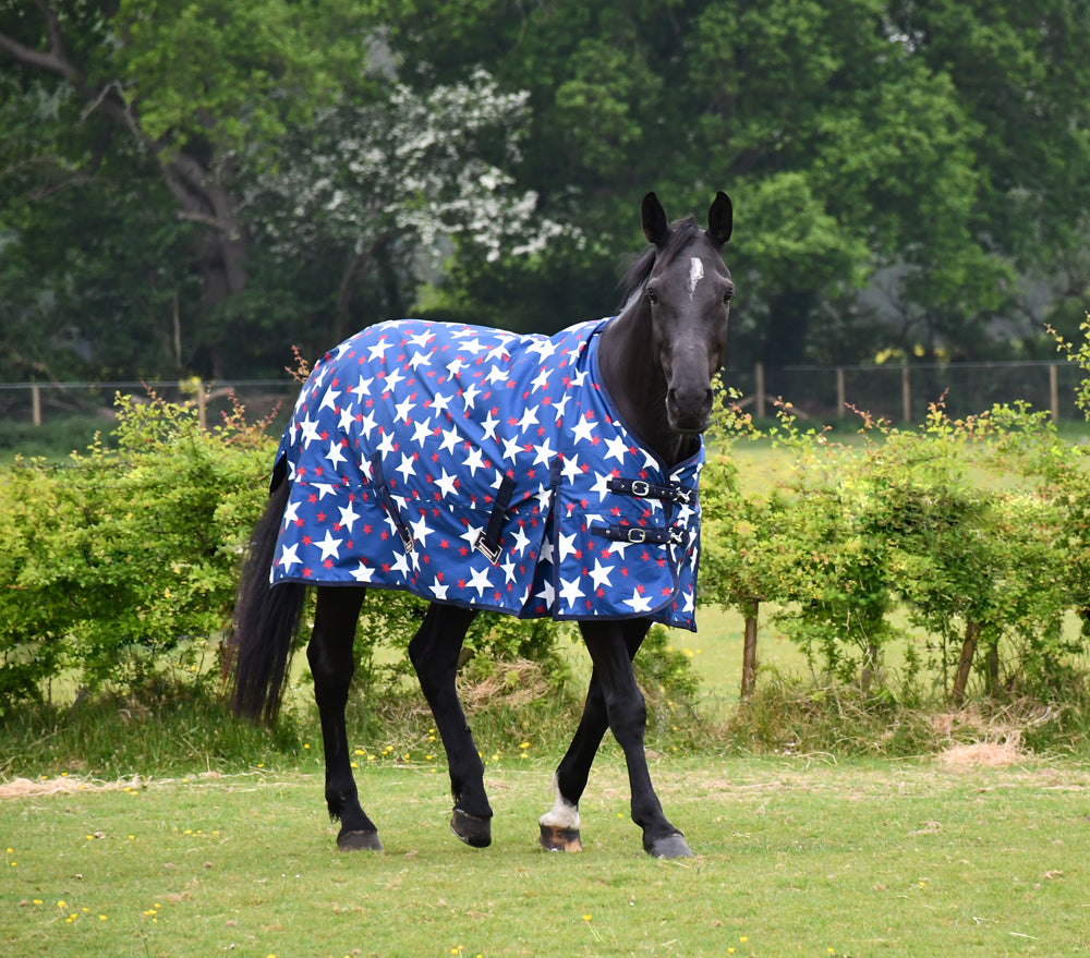 No Fill Rhinegold ‘Star Design Torrent’ Outdoor Rug