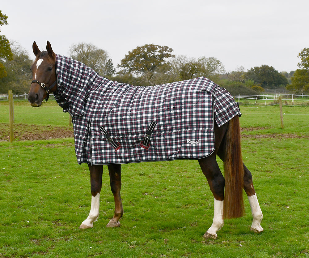 320gsm Rhinegold ‘Glacier’ Full Neck Combo Outdoor Rug