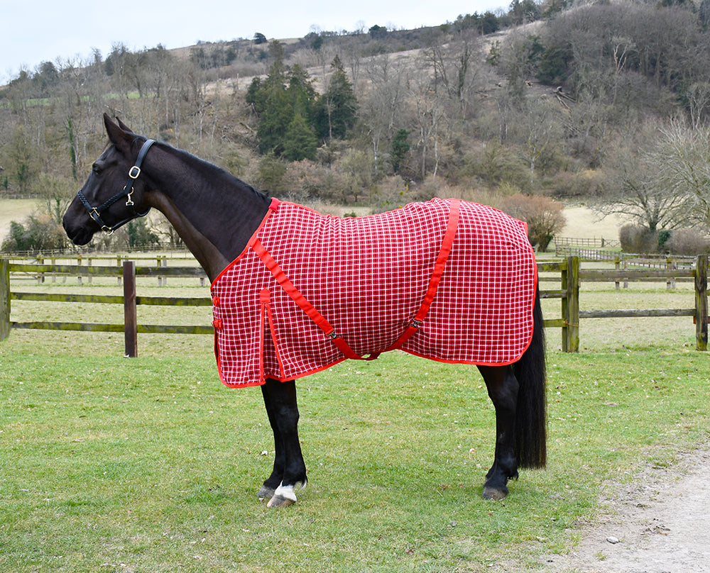 Rhinegold Cooler Rug