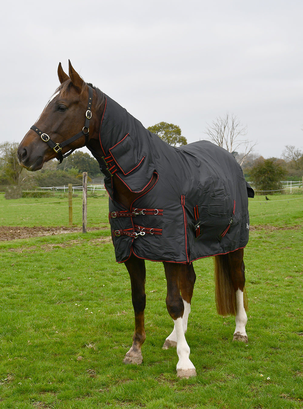 350gsm Rhinegold ‘Aspen’ Full Neck Combo Outdoor Rug