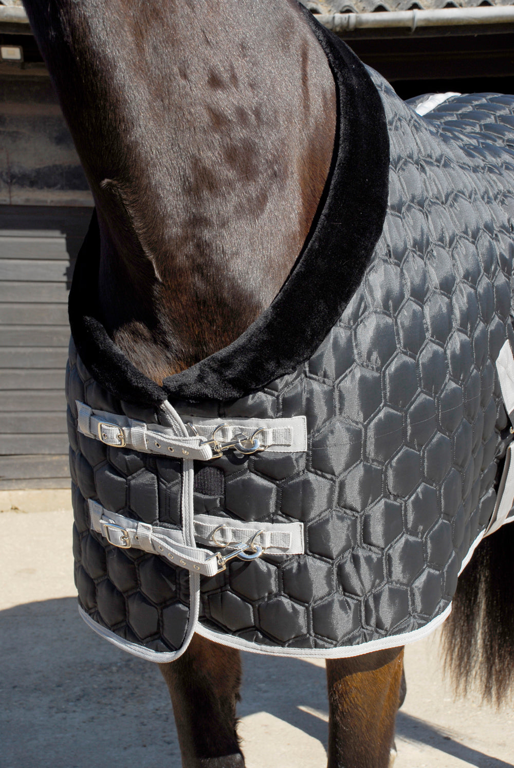 350gsm Rhinegold Michigan Hexagon Stable Rug Quilt