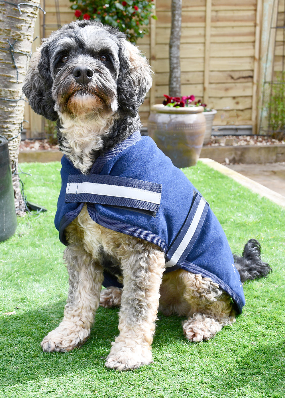 Rhinegold Dog Fleece