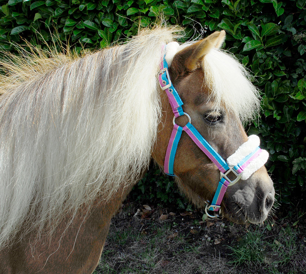 Rhinegold Bright Striped Fur Trim Headcollar - Mini, Shetland & Pony