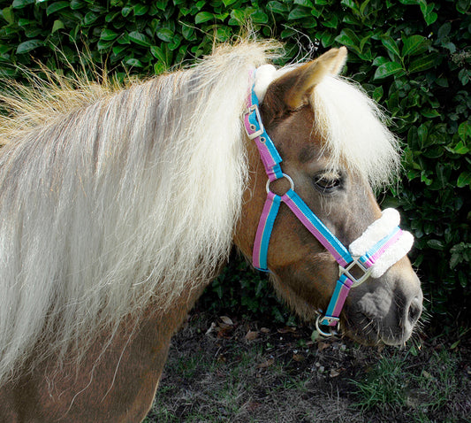 Rhinegold Bright Striped Fur Trim Headcollar - Mini, Shetland & Pony