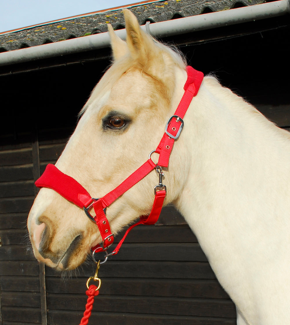 Rhinegold Comfort Headcollar And Lead Rope Set