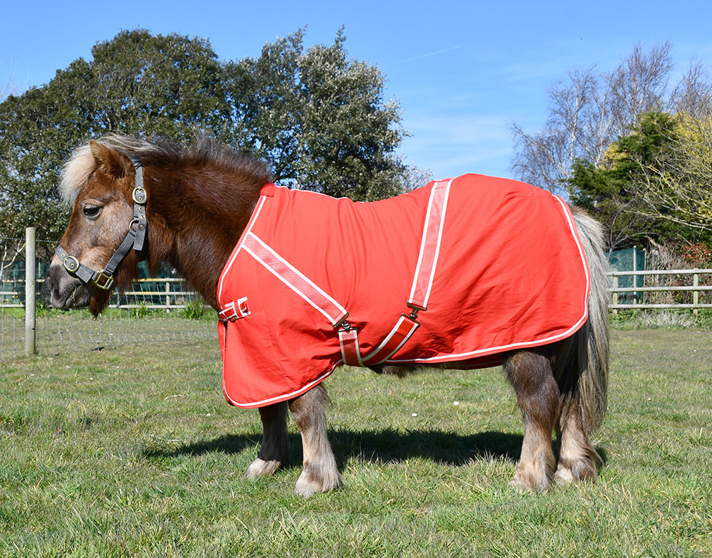 Rhinegold Mini Summer Sheet