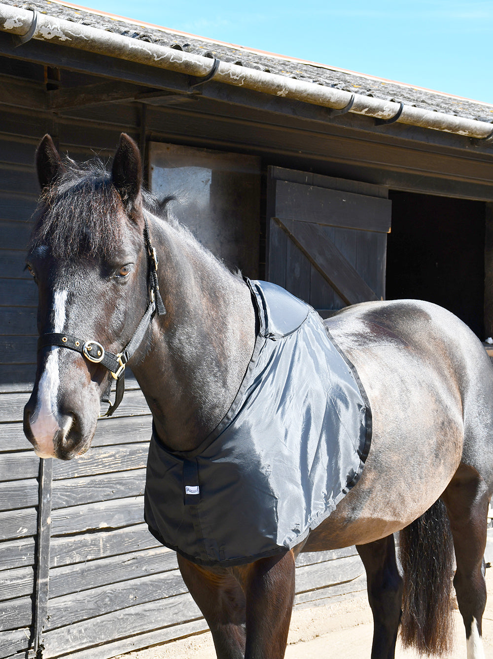 Rhinegold Memory Foam Vest