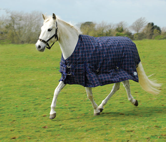 350gsm Rhinegold Zeus Outdoor Rug