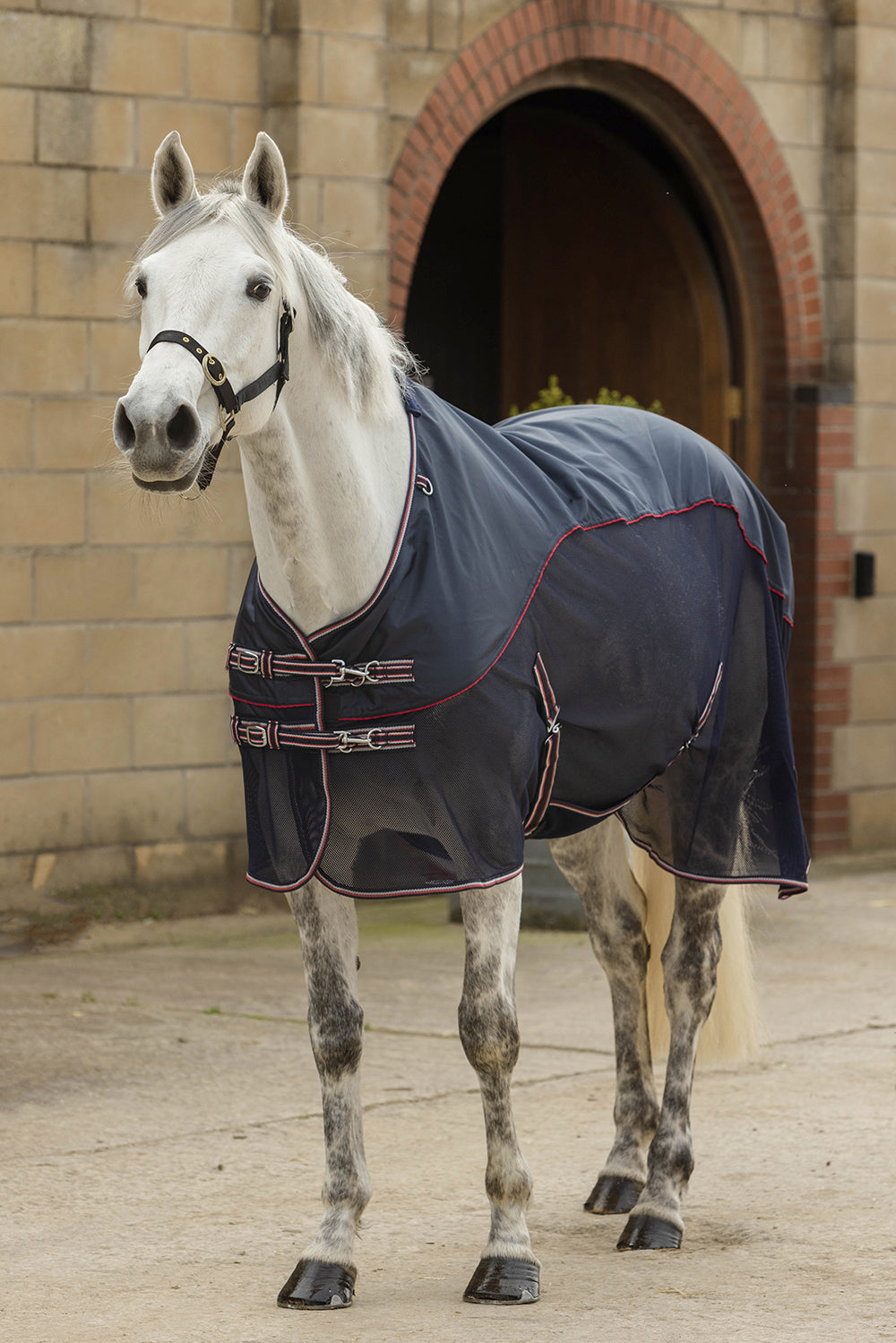 Rhinegold Mombasa Showerproof Topline Fly Rug With Neck Cover
