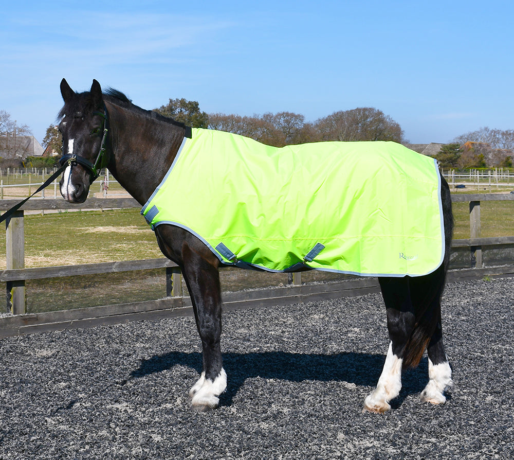 Rhinegold Horse Walker/Lunge Rug