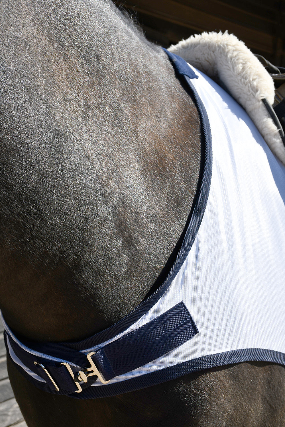 Rhinegold Mesh Ride-On Rug