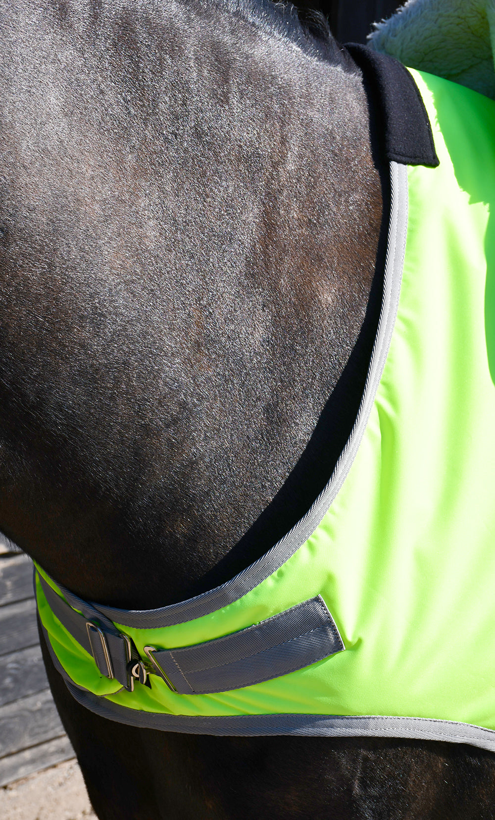 Rhinegold Waterproof Fleece Lined Ride-On Rug