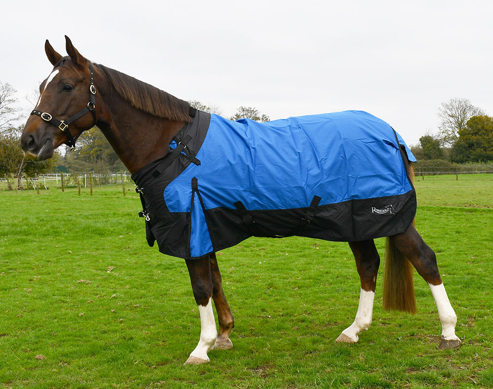 50gsm Rhinegold Phoenix Outdoor Rug