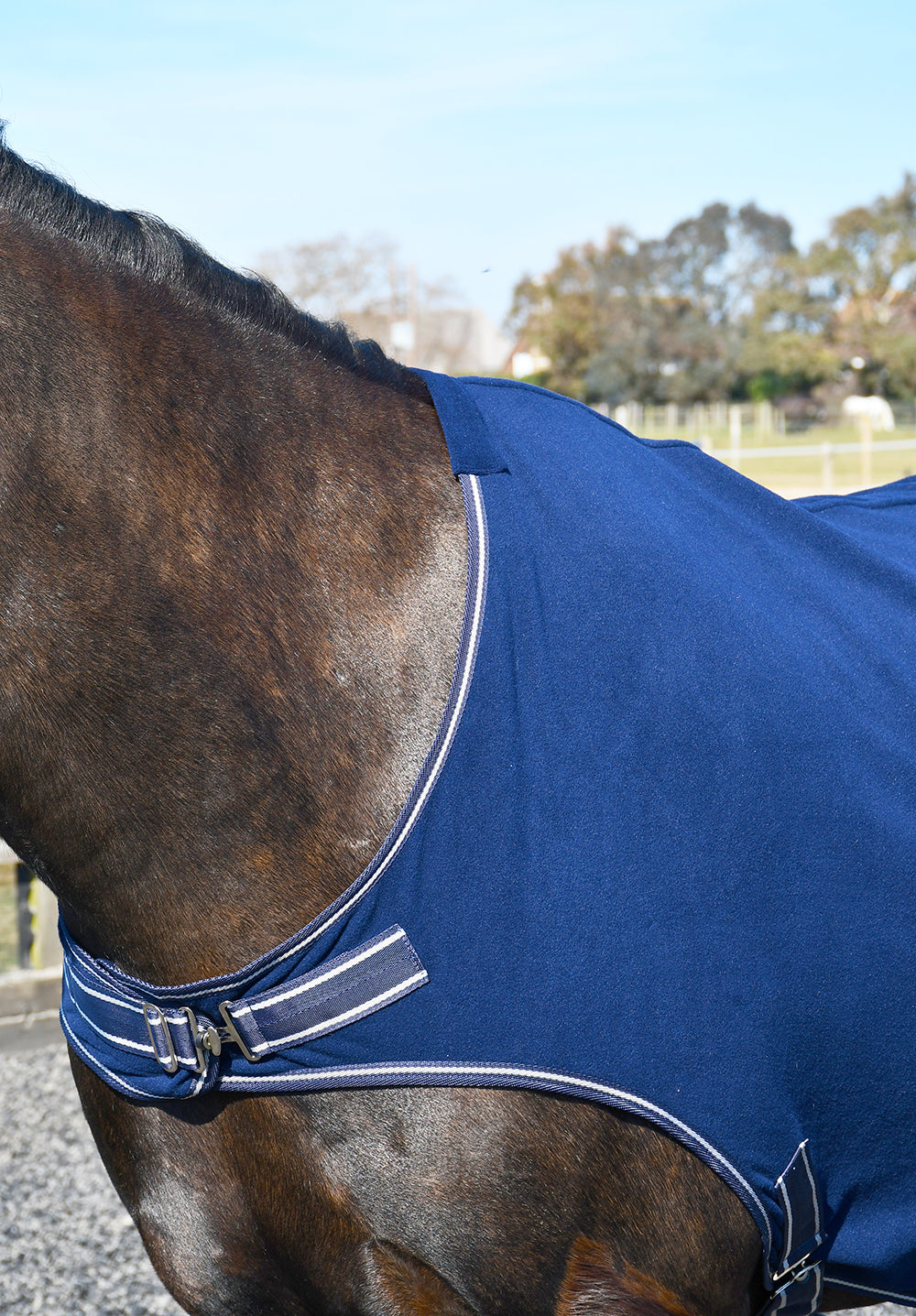 Rhinegold Fleece Horsewalker/Lunge Rug