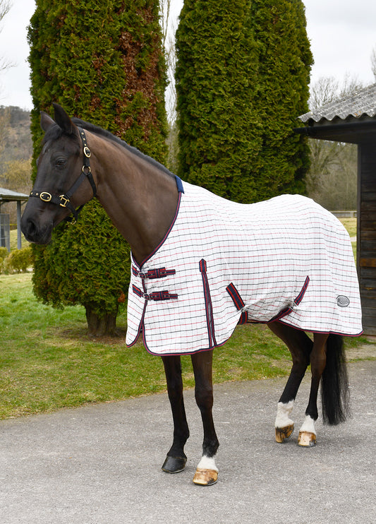 Rhinegold Maui Check Summer Sheet Rug