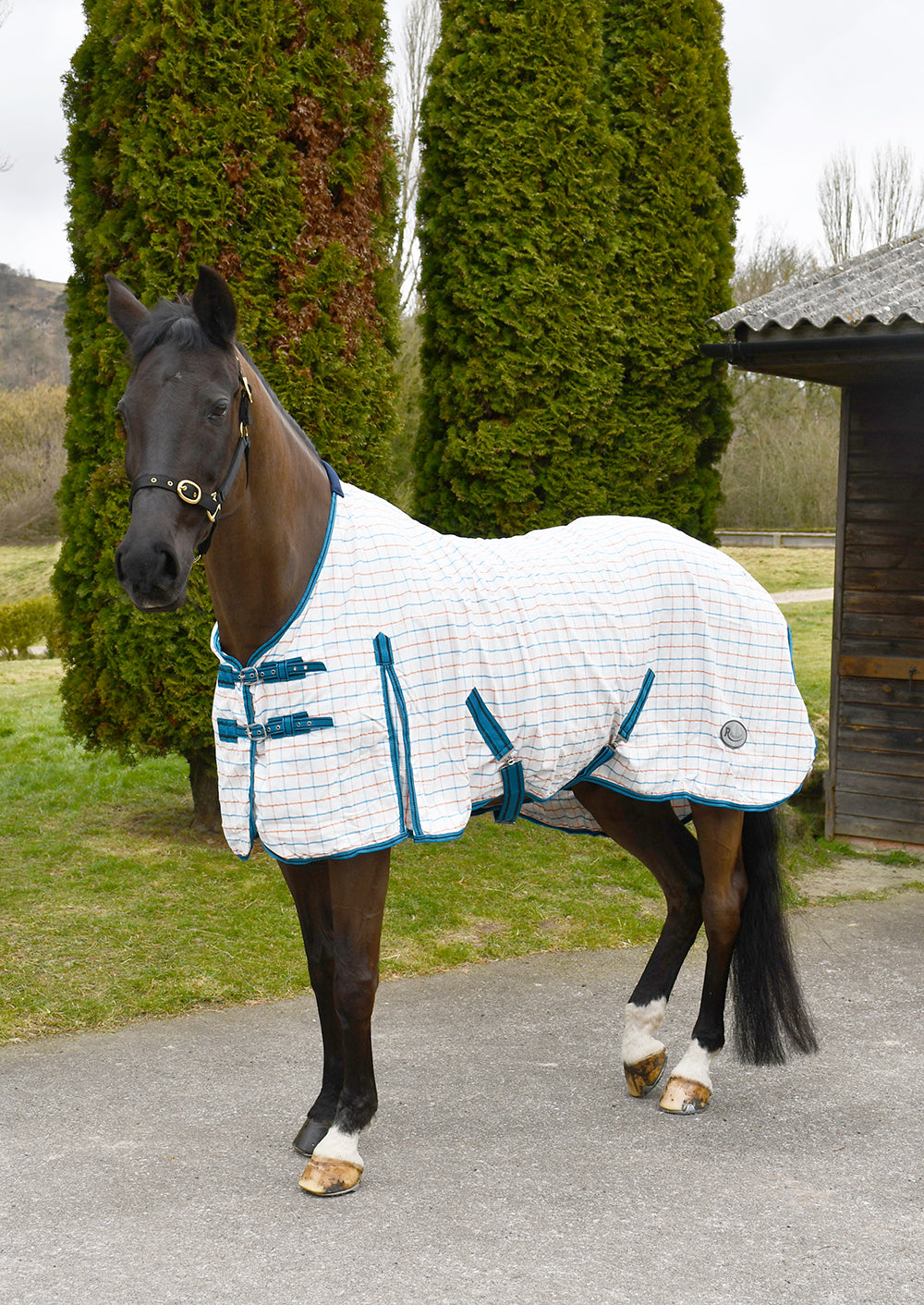 Rhinegold Maui Check Summer Sheet Rug