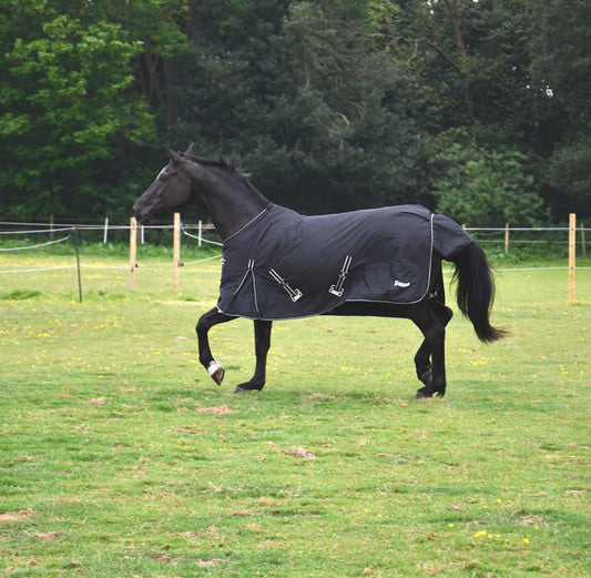 No Fill Rhinegold Bolivia Lightweight Outdoor Rug