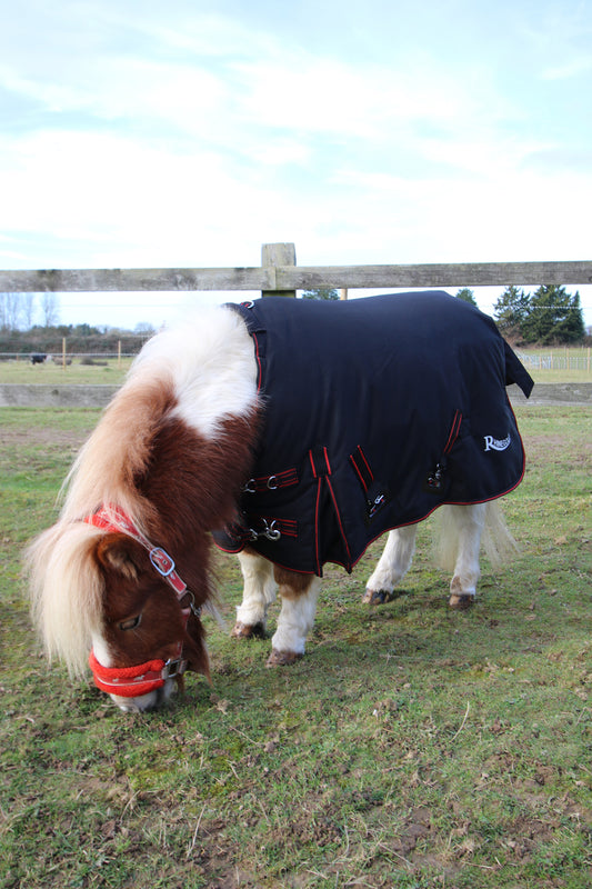 350gsm Rhinegold Mini Thor Outdoor Rug