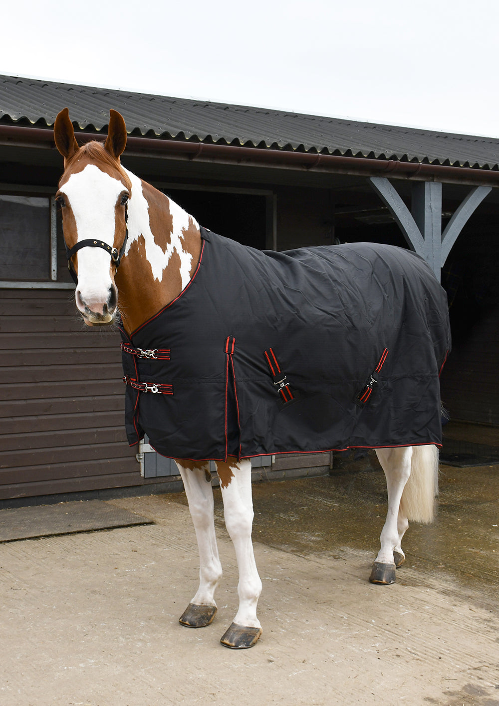 350gsm Rhinegold ‘Thor’ Outdoor Rug