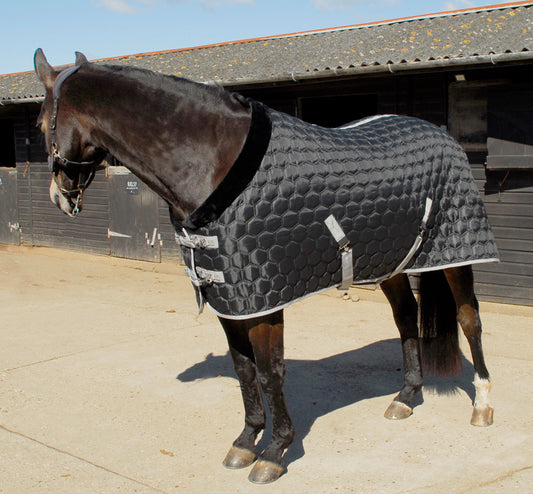 350gsm Rhinegold Michigan Hexagon Stable Rug Quilt