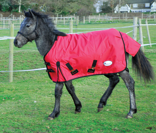200gsm Rhinegold ‘Konig’ Small Pony/Foal Outdoor Rug 3'6 - 4'3