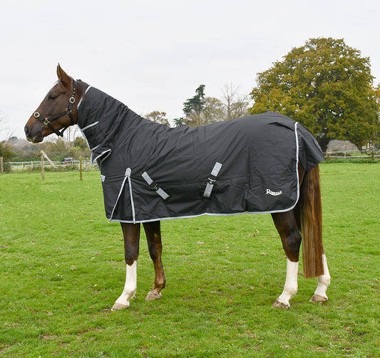 200gsm Rhinegold Konig Full Neck Combo Outdoor Rug