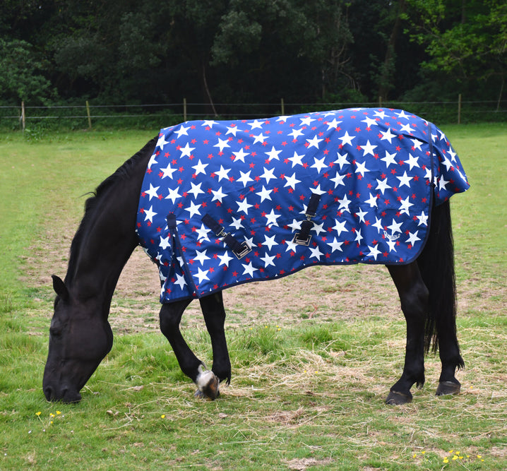 No Fill Rhinegold ‘Star Design Torrent’ Outdoor Rug