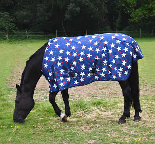 No Fill Rhinegold ‘Star Design Torrent’ Outdoor Rug