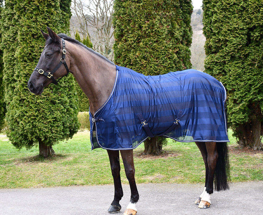 Rhinegold Sweat Sheet