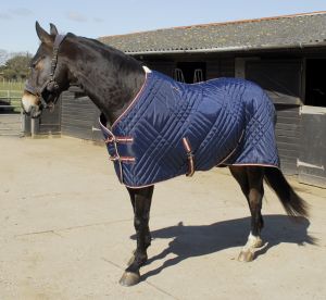 200gsm Rhinegold Dallas Chevron Stable Quilted Rug