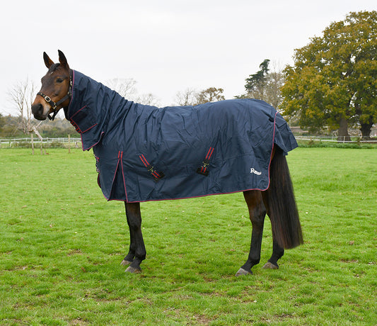 350gsm Rhinegold ‘Aspen’ Full Neck Combo Outdoor Rug