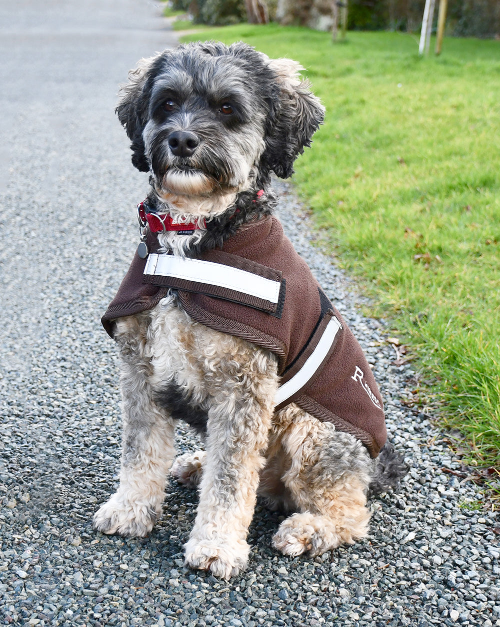 Rhinegold Dog Fleece