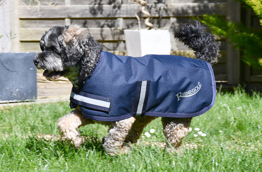 Rhinegold Waterproof Dog Coat