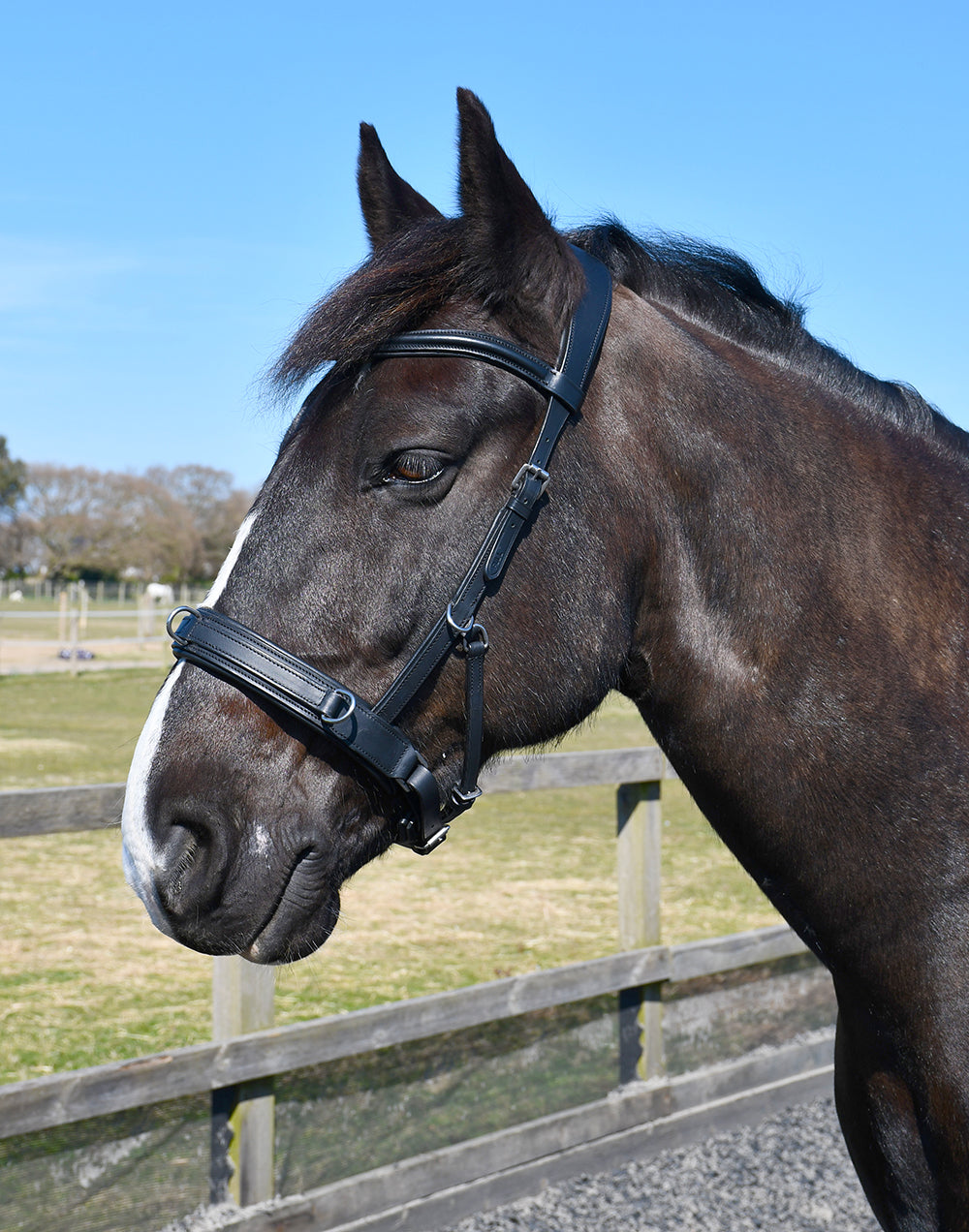 Rhinegold Leather Lunge Cavesson With Detachable Bit Attachment